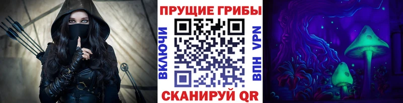 Галлюциногенные грибы прущие грибы  купить наркотик  Боготол 